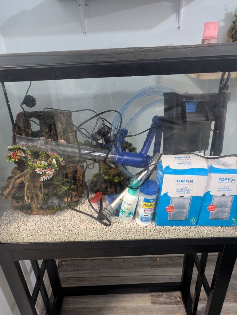 Fish Tank With Stan