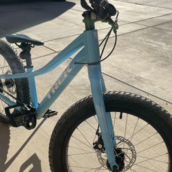 Trek Roscoe 20