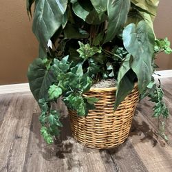 Fake Artificial Plant Tree 62” tall   $110 OBO 