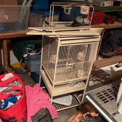 Bird Cage