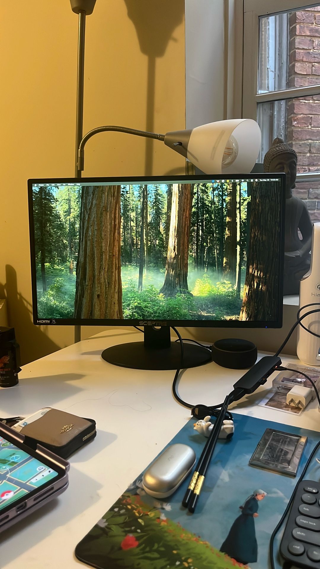 Sceptre 20” 75Hz Monitor