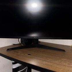 Lg Ultra Gear 24” Inch