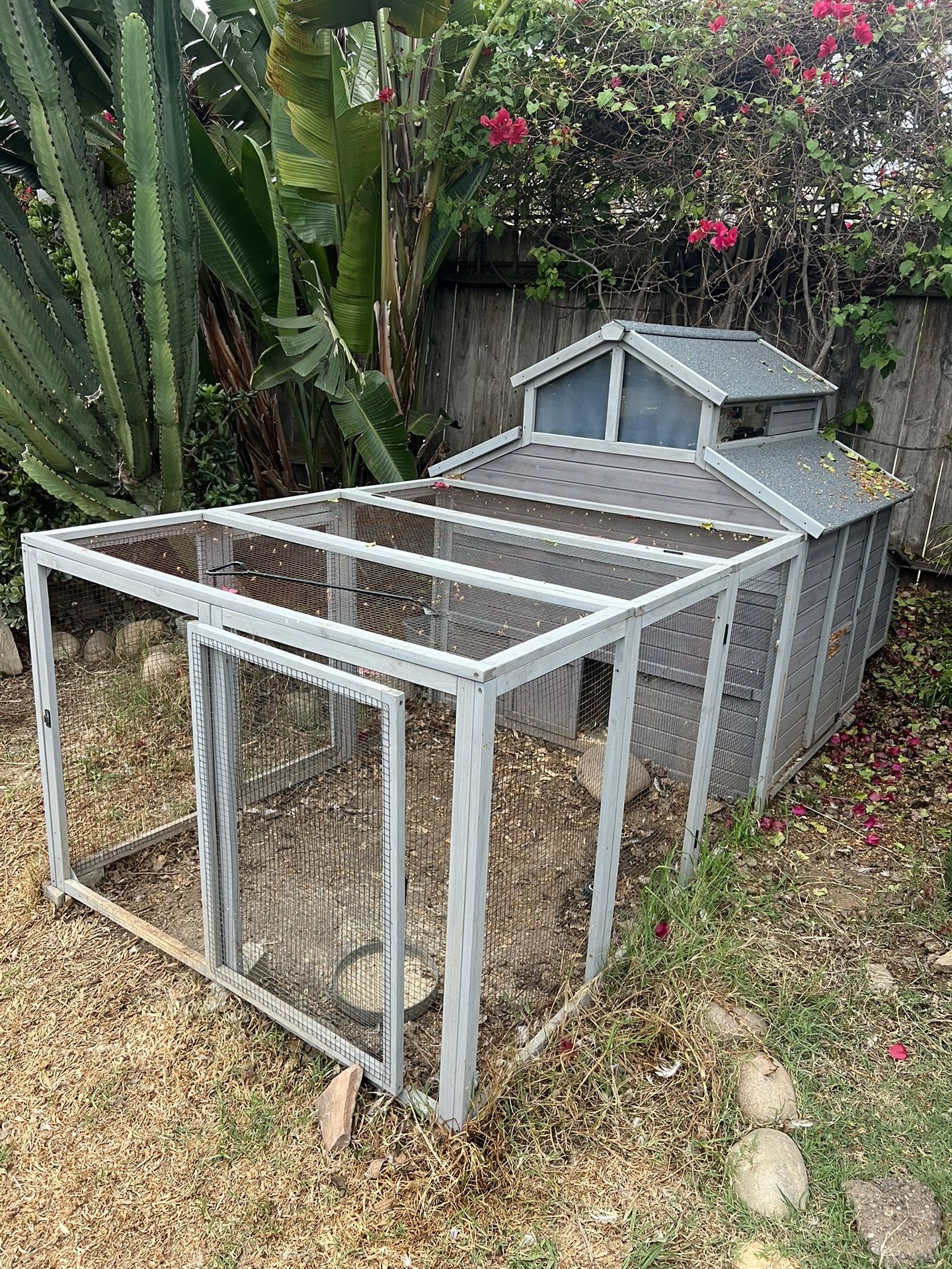 Chicken Coop