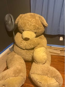 Big bear 🐻 for sale