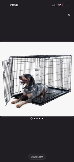 X large dog crate