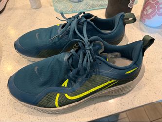Nike men’s Pegasus zoom size 11