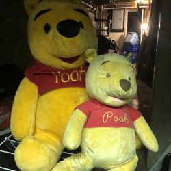 Teddy Bear