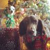 Colleen