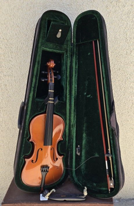 Violin (with a Broken String)