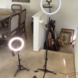 2 Light Lamp Like New Both For $30