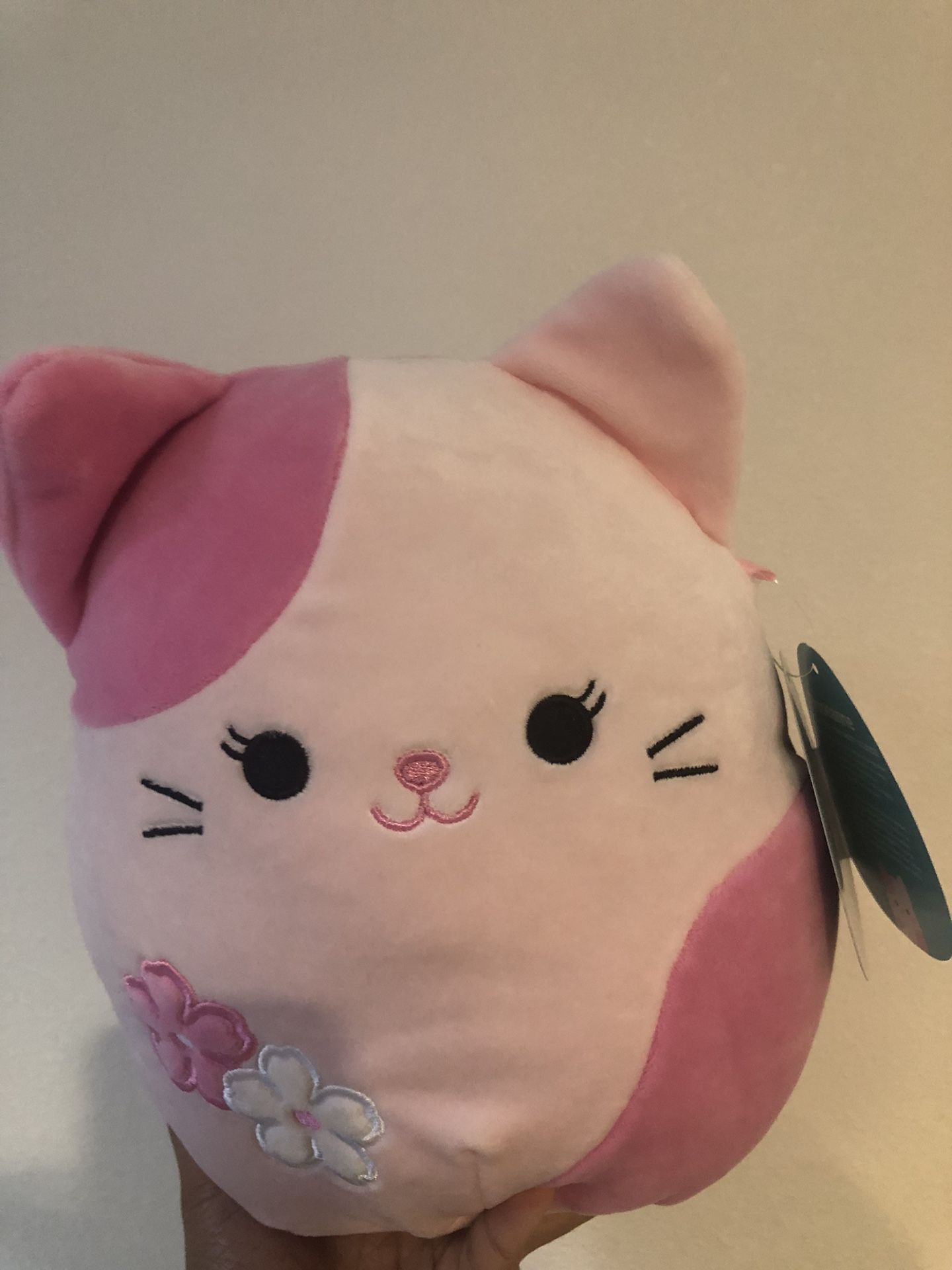 Squishmallow Bundle Zumirez & store Roseanne