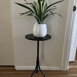 Steel Pedestal Table/Stand