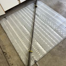 Women’s 35 lb Barbell 