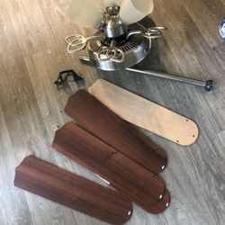 Fan