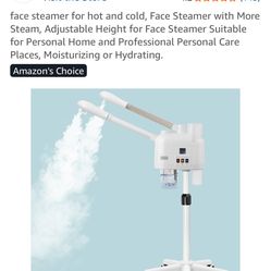 Hot and Cold Face Steamer