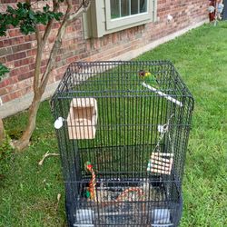 Bird's Cage