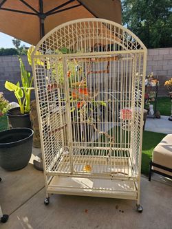 Huge Bird Cage