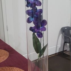 12 Tall Glass Vase