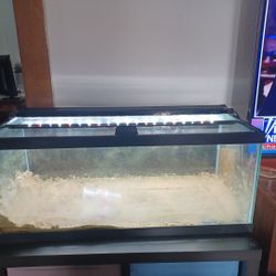 20g Aquarium/Tank