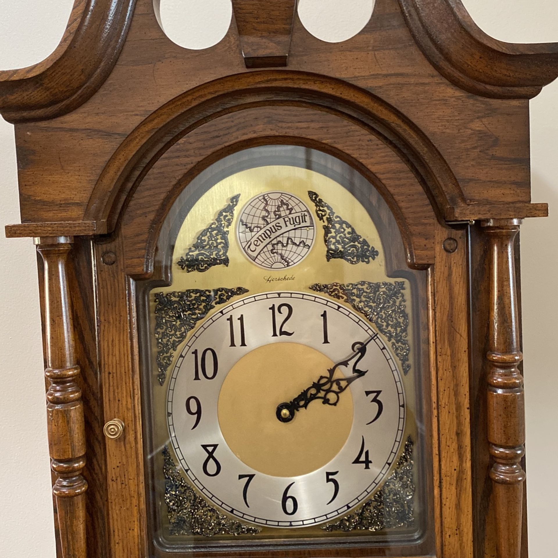 Tempus Fugit Grandfather Clock