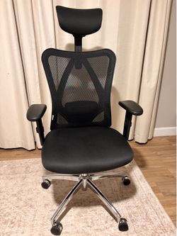 Ergonomic Black Office Chair