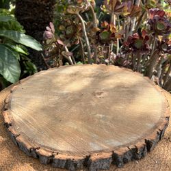 Big Rustic Wood Slices/ Thick Wood Slices For Cakes/Cake Stands(Different Prices)
