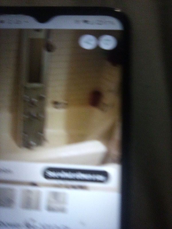 PULSE Kihei Ii Shower Spa-1013-GL