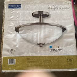Light