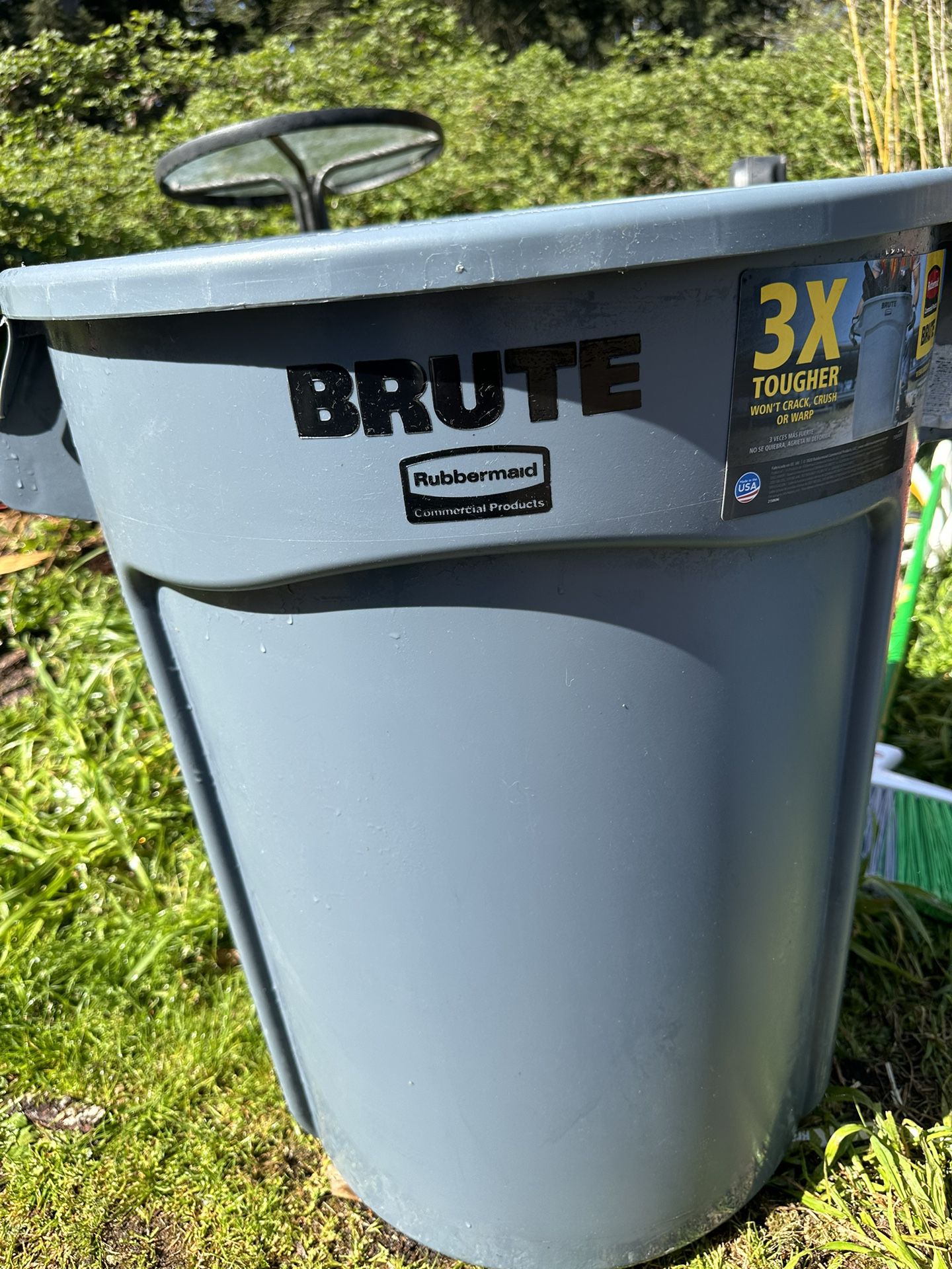 Brute Container 