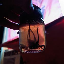 Hand Made Preserved Wolf Spider Jar