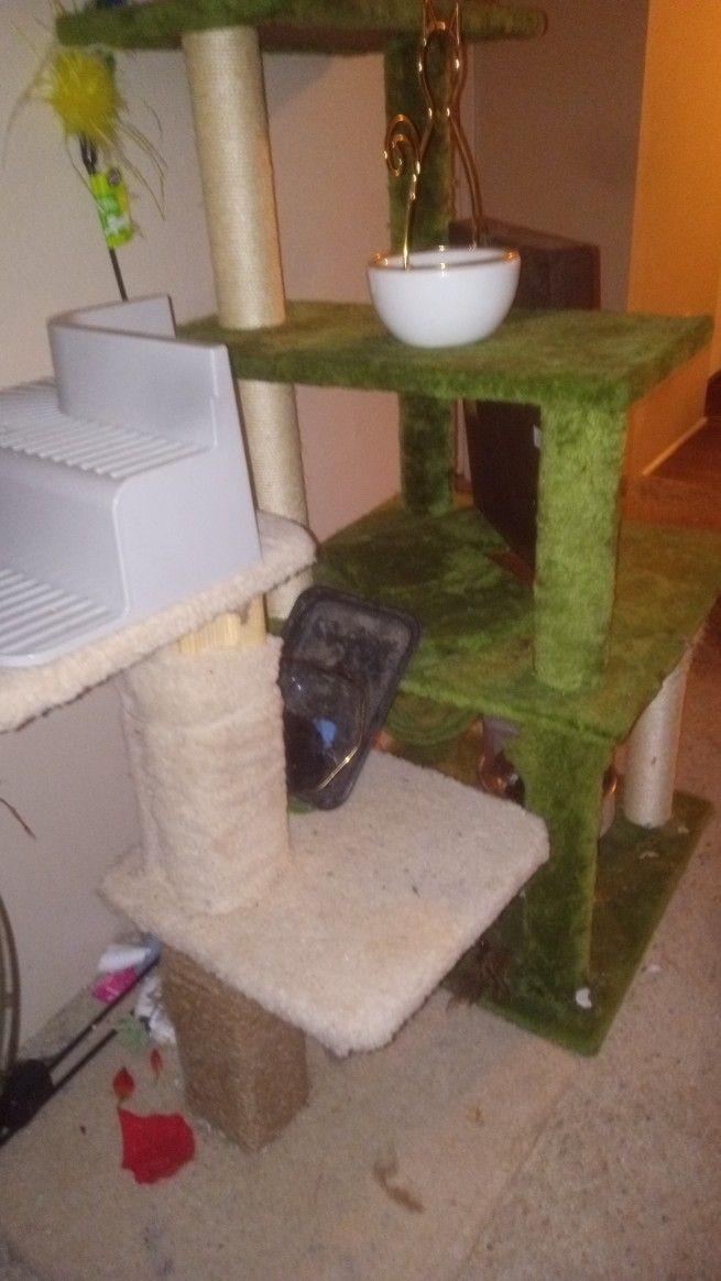 Cat Castles And Misc Cat Stuff All