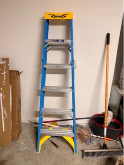 Werner 6 ft. Fiberglass Step Ladder (10 ft. Reach Height) with 250 lb. Load Capacity Type I Duty Rat