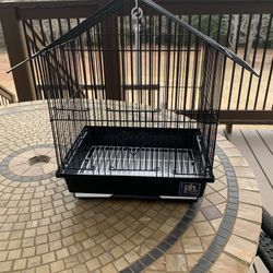 Bird Cage 