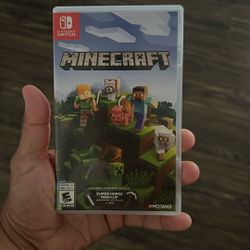 Minecraft Switch