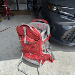 Osprey Hiking Bag