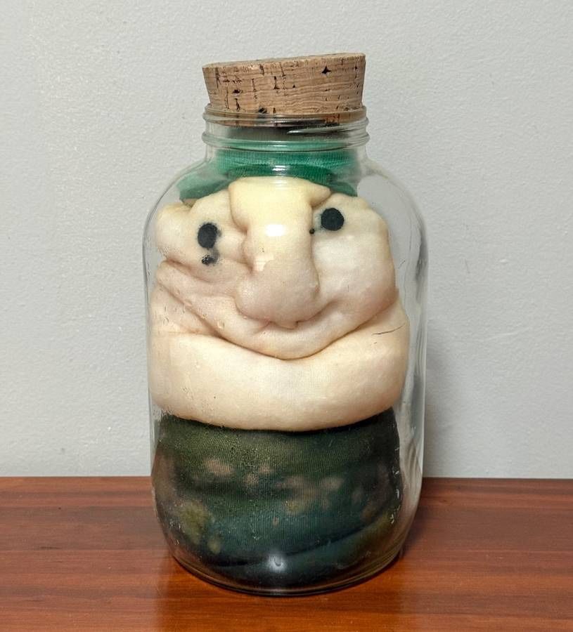 Vintage Collectible Pickled People 1978 RNC Creations Creepy Decor