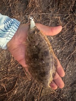 Bfs two piece carbon rod UL 🎣