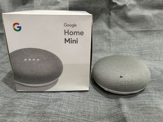 Google Home Mini Chalk with Box and Charger