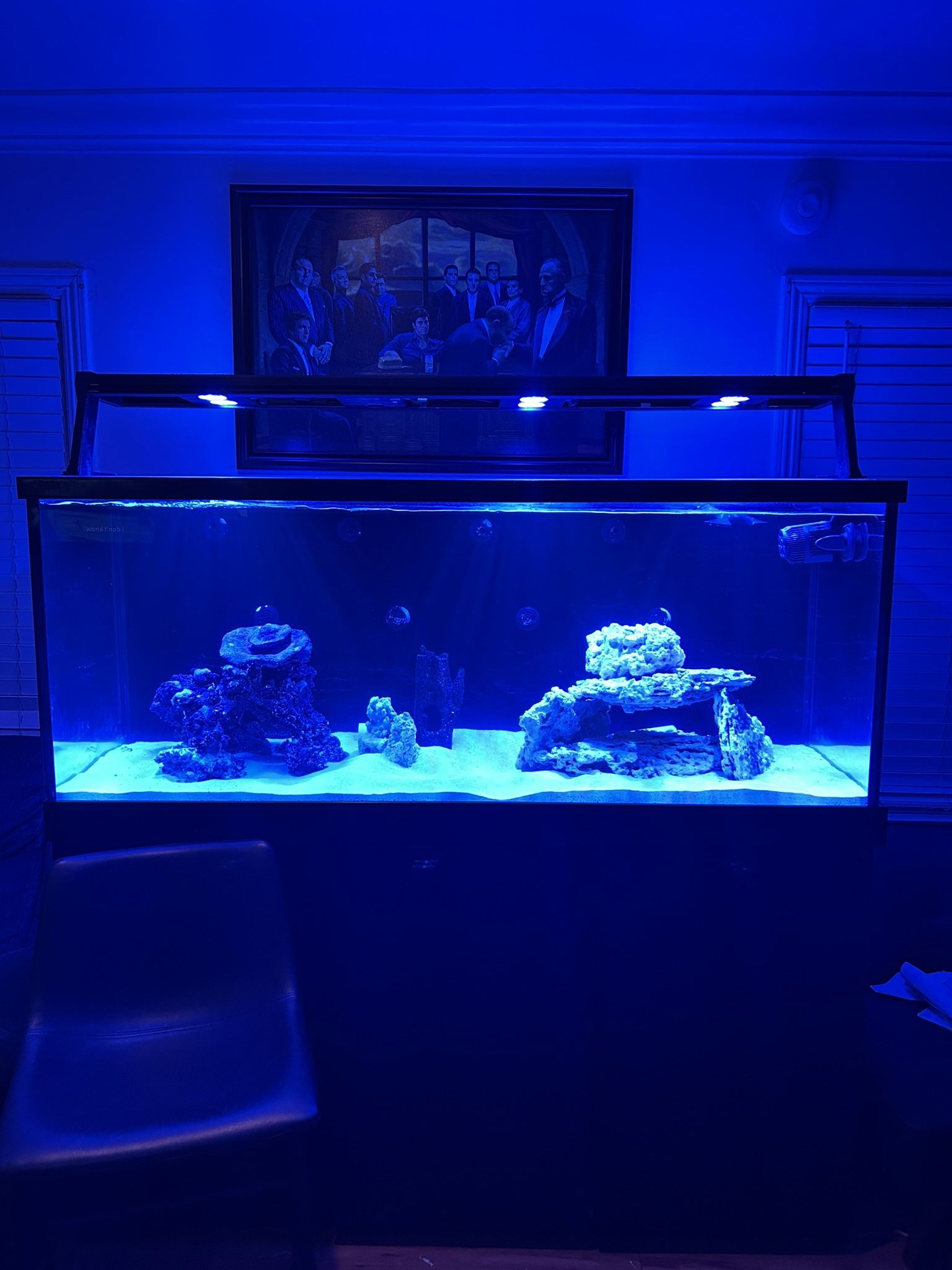 Red Sea Fish Tank For Sale
