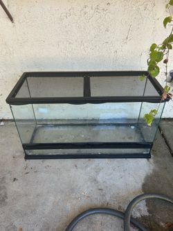 Reptile tank