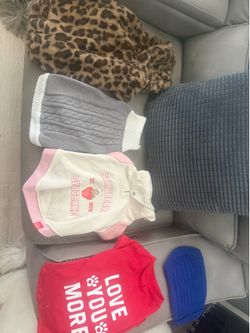 Free 🐶 cloth size medium