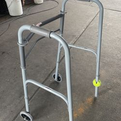 Guardian Silver Walker