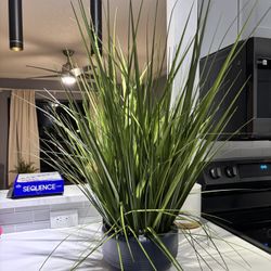Faux Grass Plant 