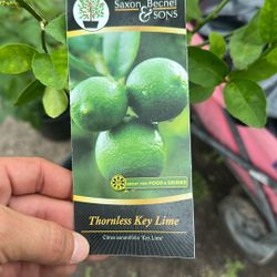 Plant Sale