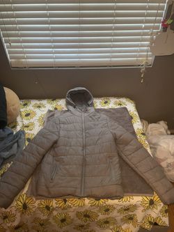Grey Puffer
