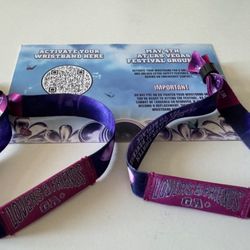 2 GA+ Lovers and Friends Tickets