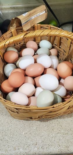 Fresh Organic Eggs Free Ranch