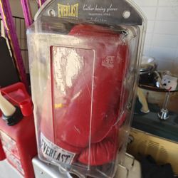 Everlast Boxing 🥊 Gloves Laceless 