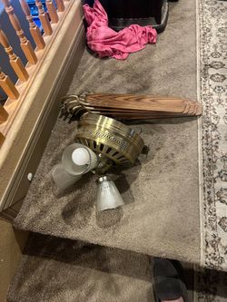 Ceiling fan