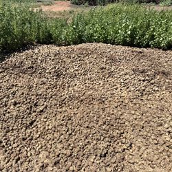 Free Organic Fertilizer 
